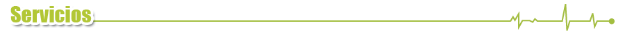 Servicios